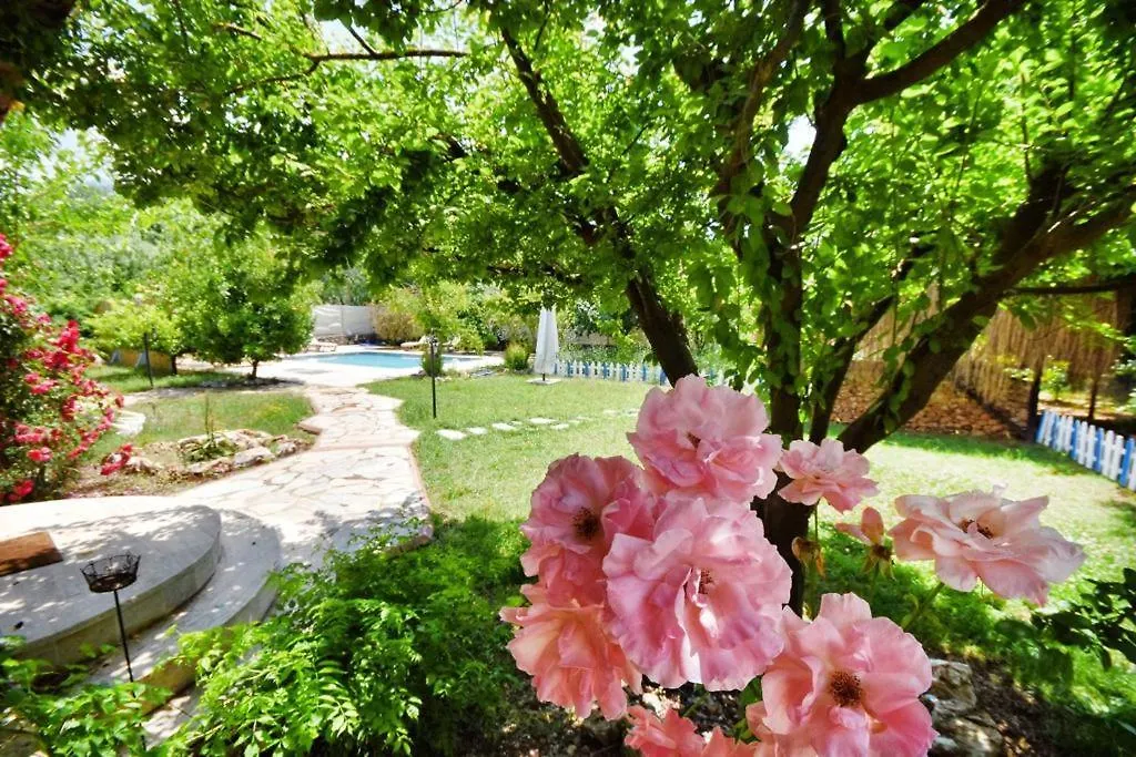 Jasmine Villa Fethiye 0*,  Turkey